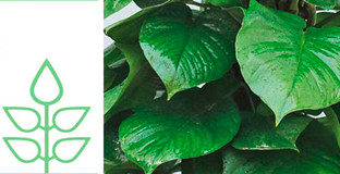 廠(chǎng)家直銷(xiāo)，質(zhì)優(yōu)價(jià)實(shí)