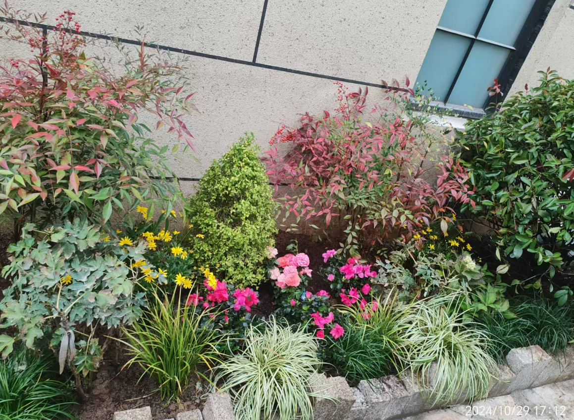 西安別墅庭院景觀(guān)設(shè)計(jì)、綠化、施工、后期養(yǎng)護(hù)一條龍服務(wù)|西安碧盛園藝